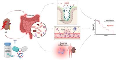 Acute Kidney Injury and Intestinal Dysbiosis